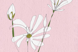 BloomsbyElla A6 greeting card white flowers